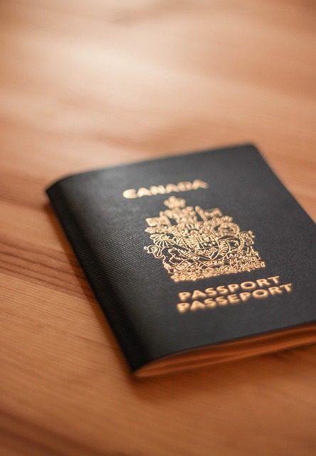 passport, canada, document, identification, canadian, travel, vacation, tourism, customs, security, citizenship, official, legal, brown security, brown document, canada, canada, canada, canadian, canadian, canadian, citizenship, citizenship, citizenship, citizenship, citizenship